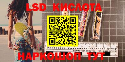 стафф Донской