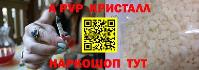 стафф Донской